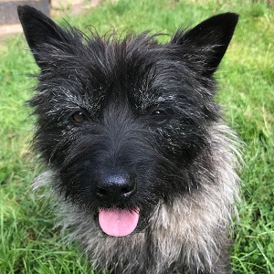 Bella